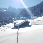 Montafonerhuesli 3*