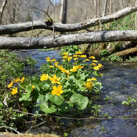 Montafonerhuesli Gæstehus 3*